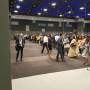 apap2017-02.jpg